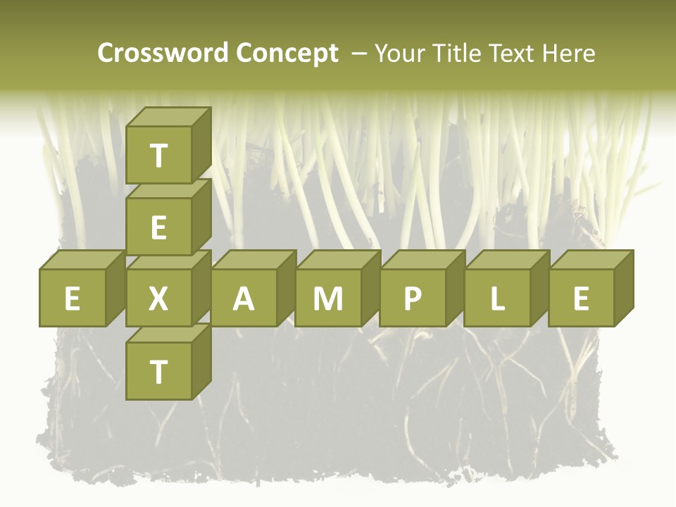 Growing Background Spring PowerPoint Template