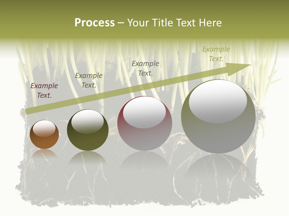 Growing Background Spring PowerPoint Template