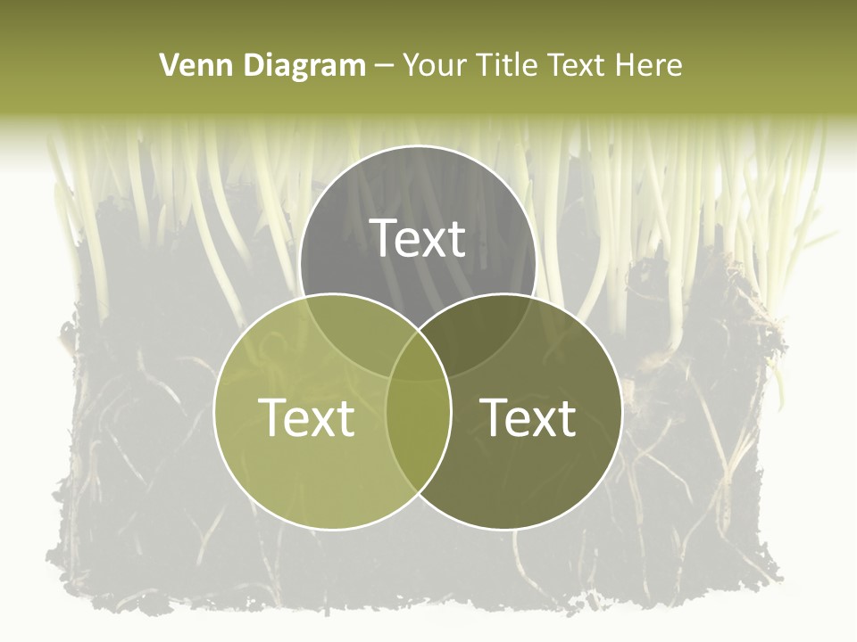 Growing Background Spring PowerPoint Template