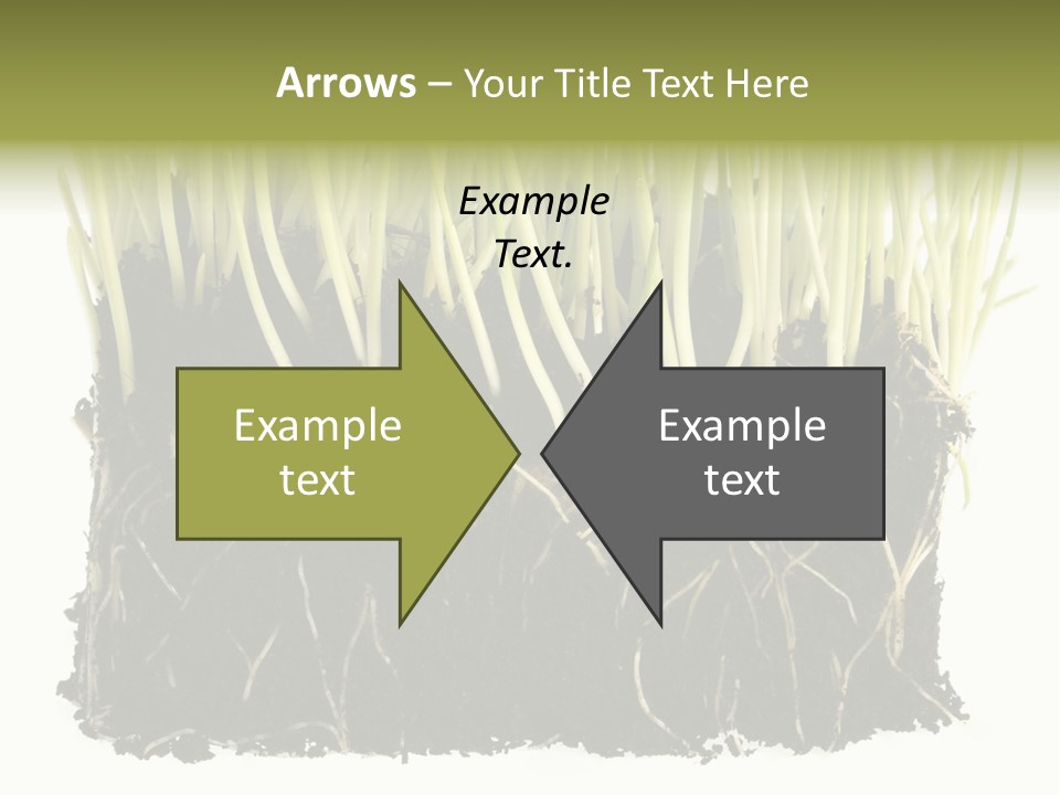 Growing Background Spring PowerPoint Template