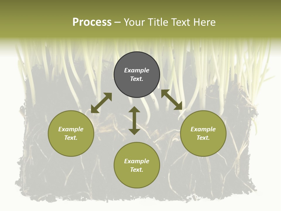 Growing Background Spring PowerPoint Template
