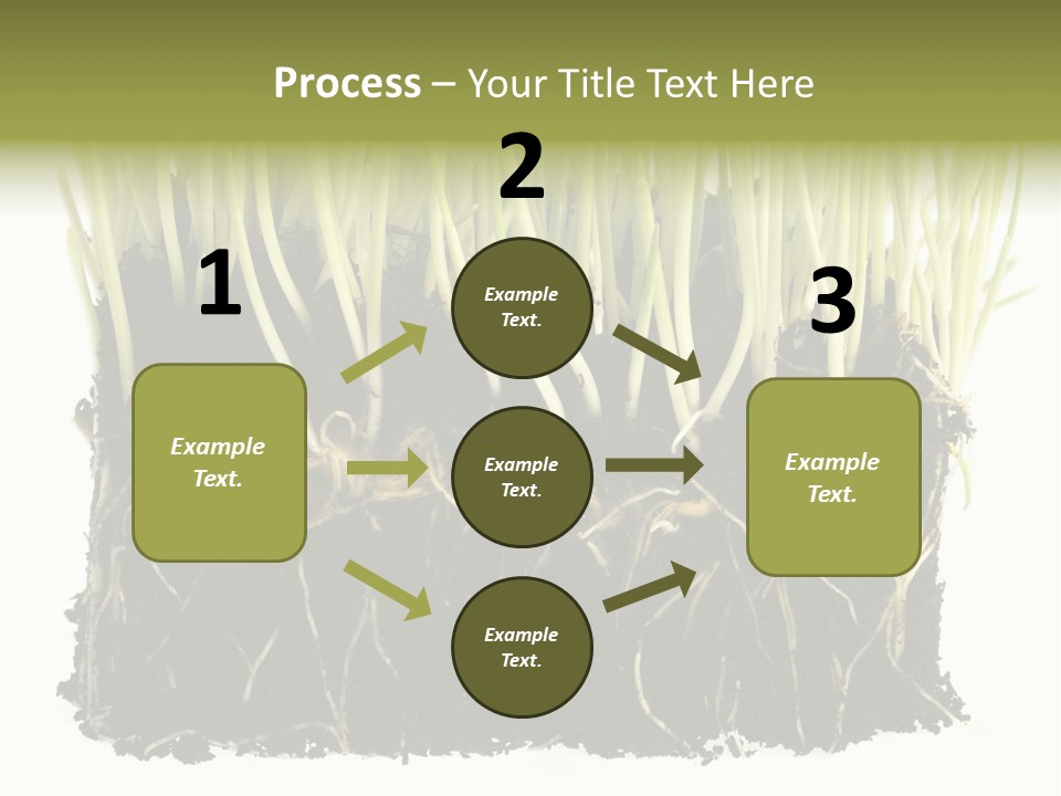 Growing Background Spring PowerPoint Template