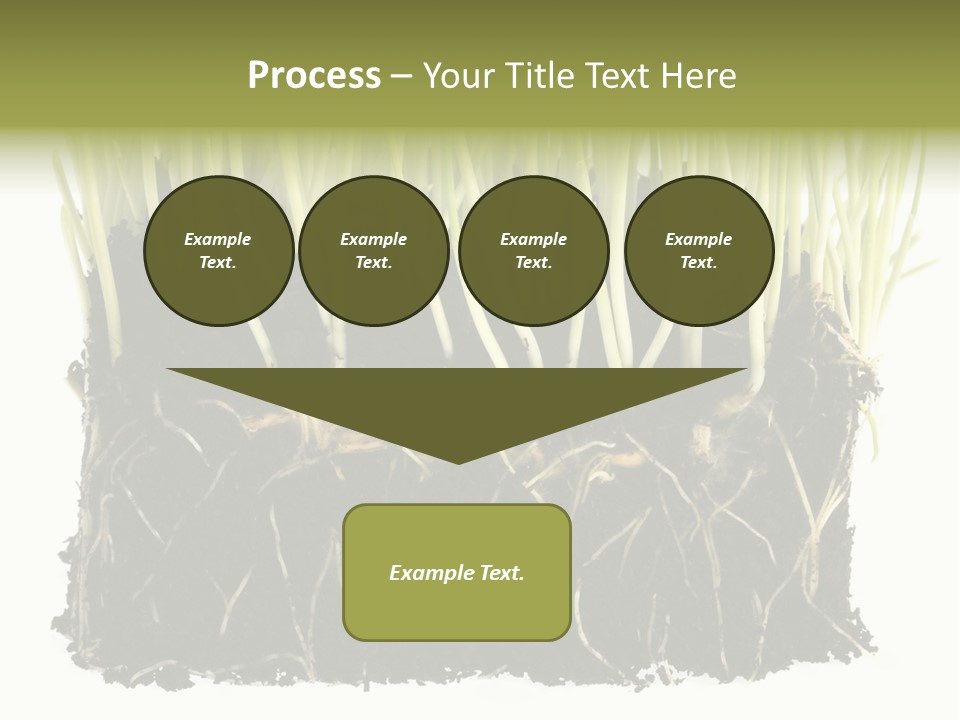 Growing Background Spring PowerPoint Template