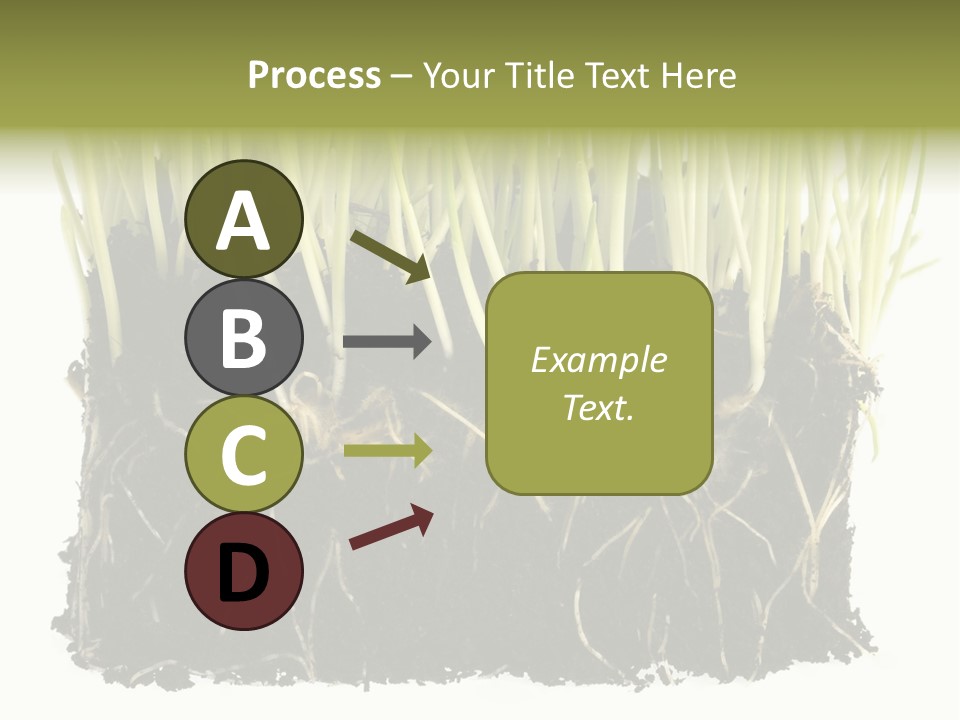 Growing Background Spring PowerPoint Template