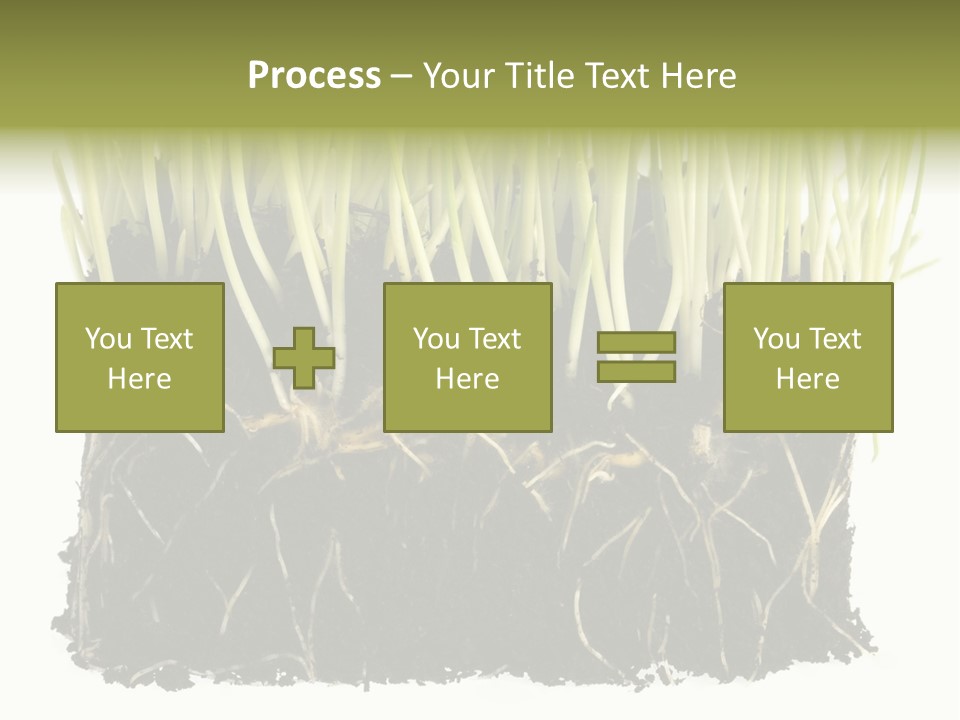 Growing Background Spring PowerPoint Template
