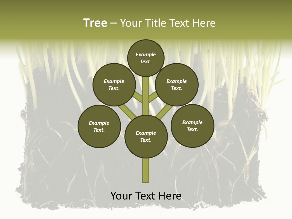 Growing Background Spring PowerPoint Template