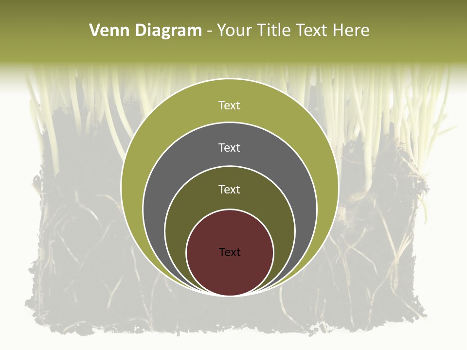 Growing Background Spring PowerPoint Template
