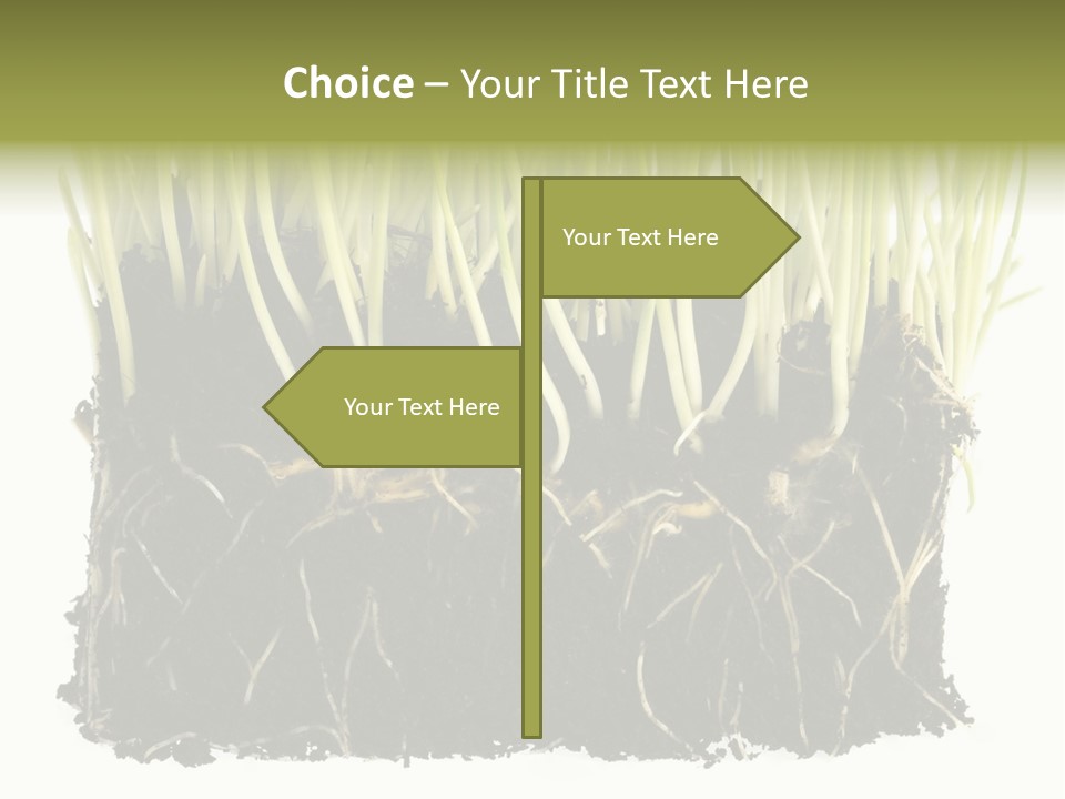 Growing Background Spring PowerPoint Template