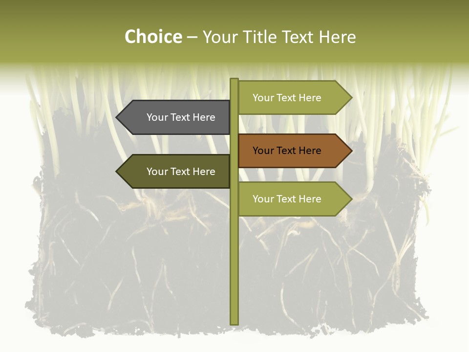 Growing Background Spring PowerPoint Template