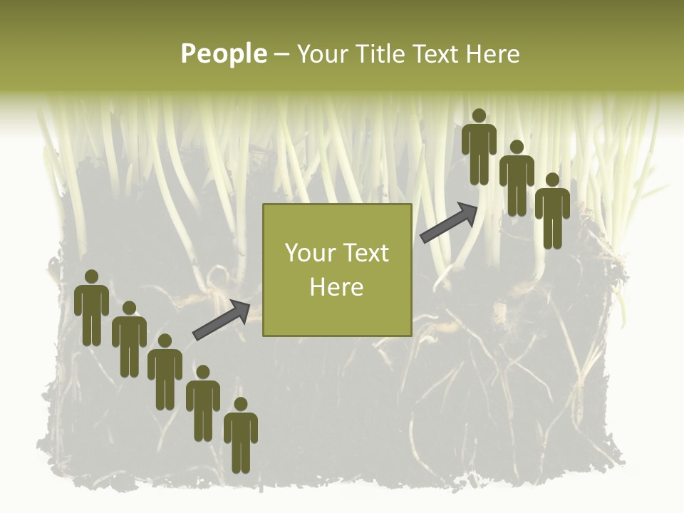 Growing Background Spring PowerPoint Template