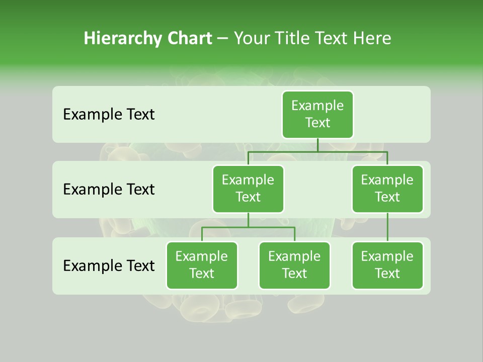 A Green And Yellow Corona Corona Powerpoint Presentation PowerPoint Template
