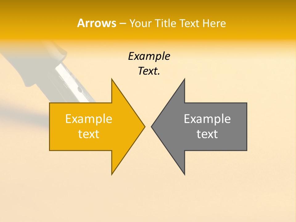 Family Boston Ducks PowerPoint Template