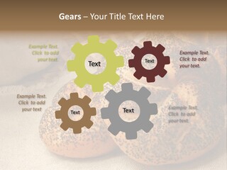 Wheat Nature Taste PowerPoint Template