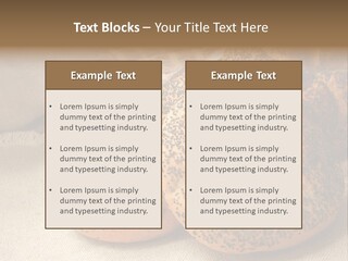 Wheat Nature Taste PowerPoint Template