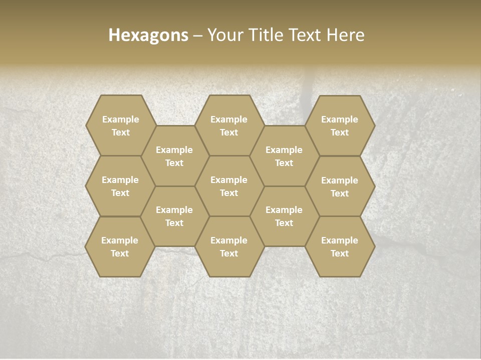 Stocky Canine Sponge PowerPoint Template