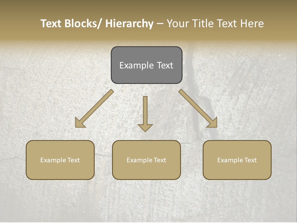 Stocky Canine Sponge PowerPoint Template
