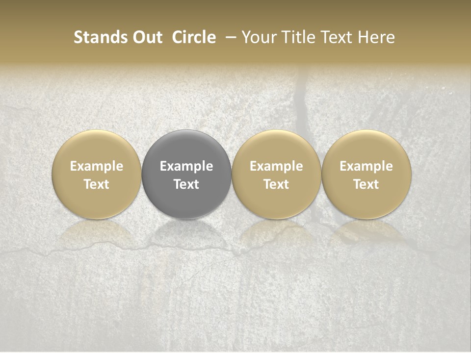 Stocky Canine Sponge PowerPoint Template