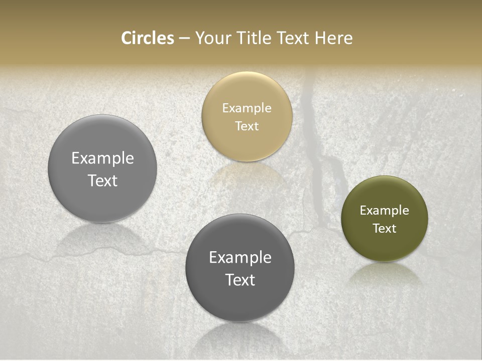 Stocky Canine Sponge PowerPoint Template