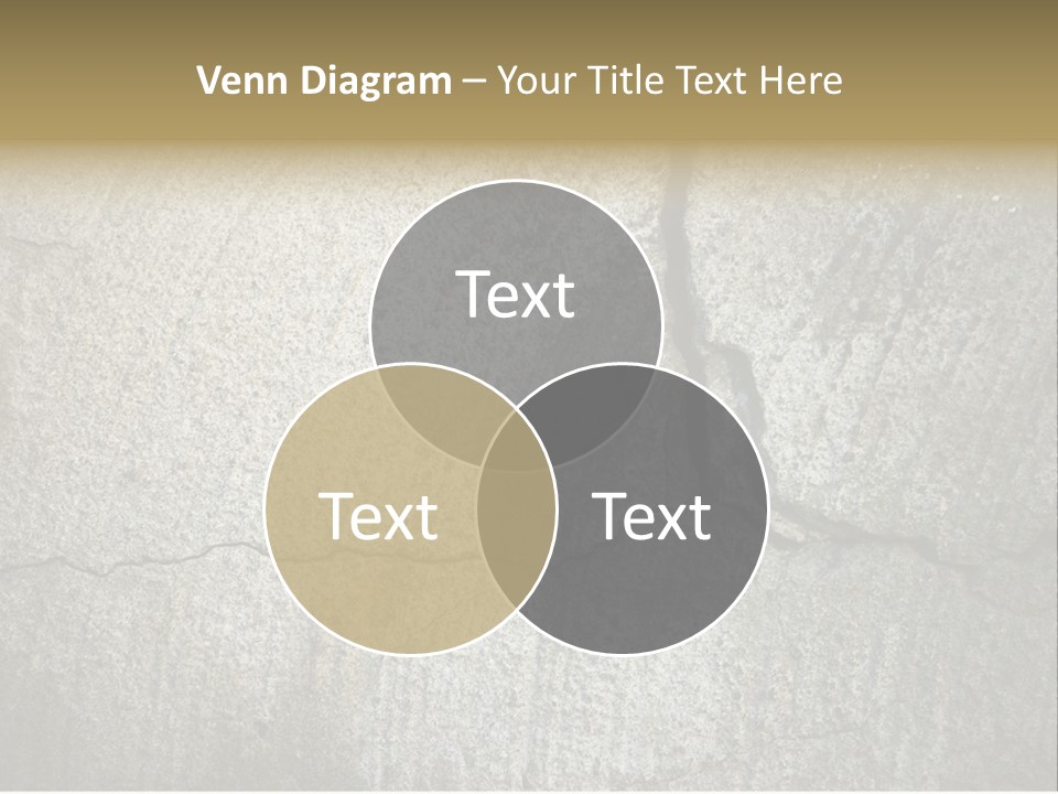 Stocky Canine Sponge PowerPoint Template