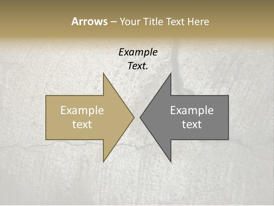 Stocky Canine Sponge PowerPoint Template