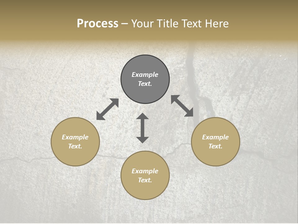 Stocky Canine Sponge PowerPoint Template