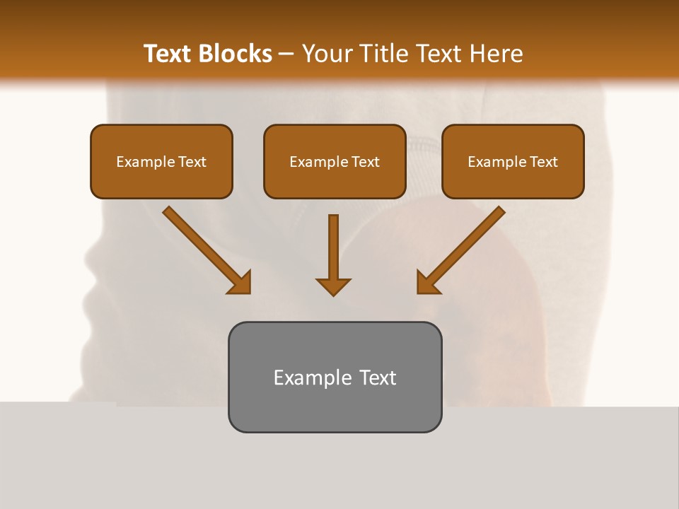 Stocky Canine Sponge PowerPoint Template