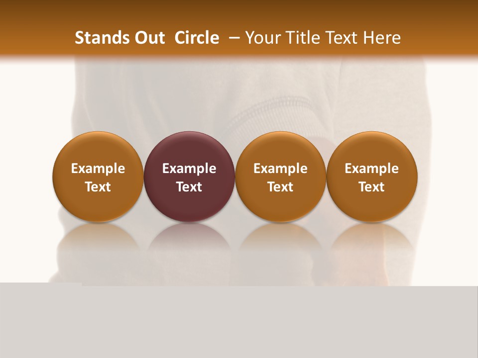 Stocky Canine Sponge PowerPoint Template