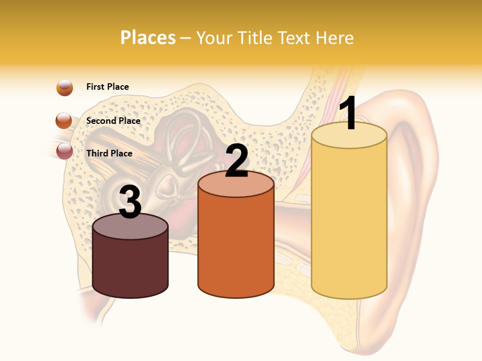 Eardrum Inner Sound PowerPoint Template