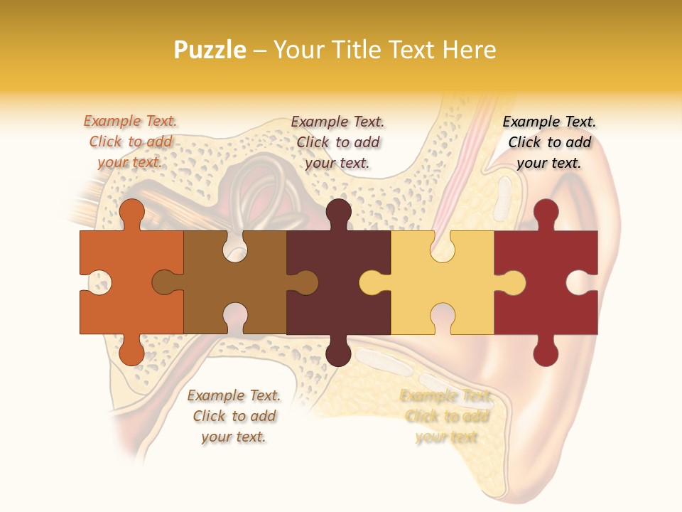 Eardrum Inner Sound PowerPoint Template