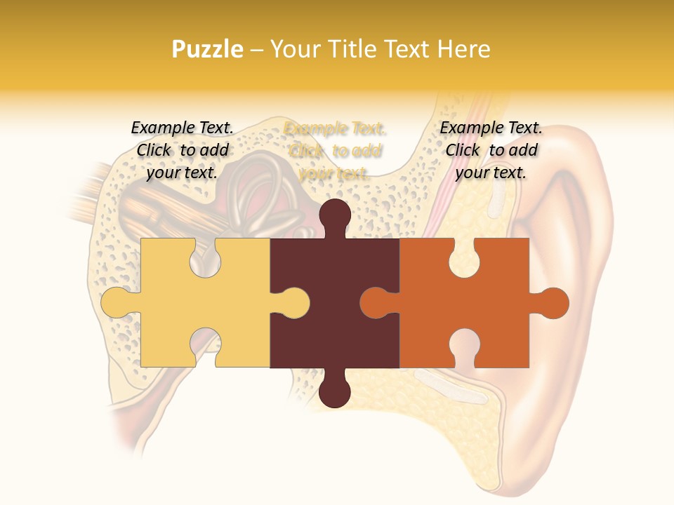 Eardrum Inner Sound PowerPoint Template