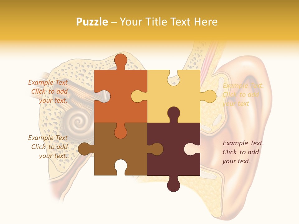 Eardrum Inner Sound PowerPoint Template