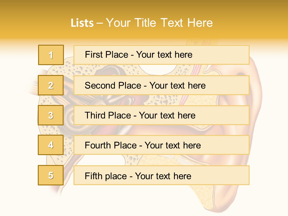 Eardrum Inner Sound PowerPoint Template