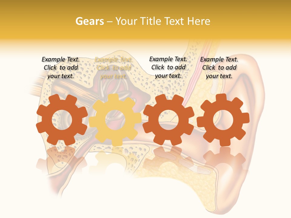 Eardrum Inner Sound PowerPoint Template