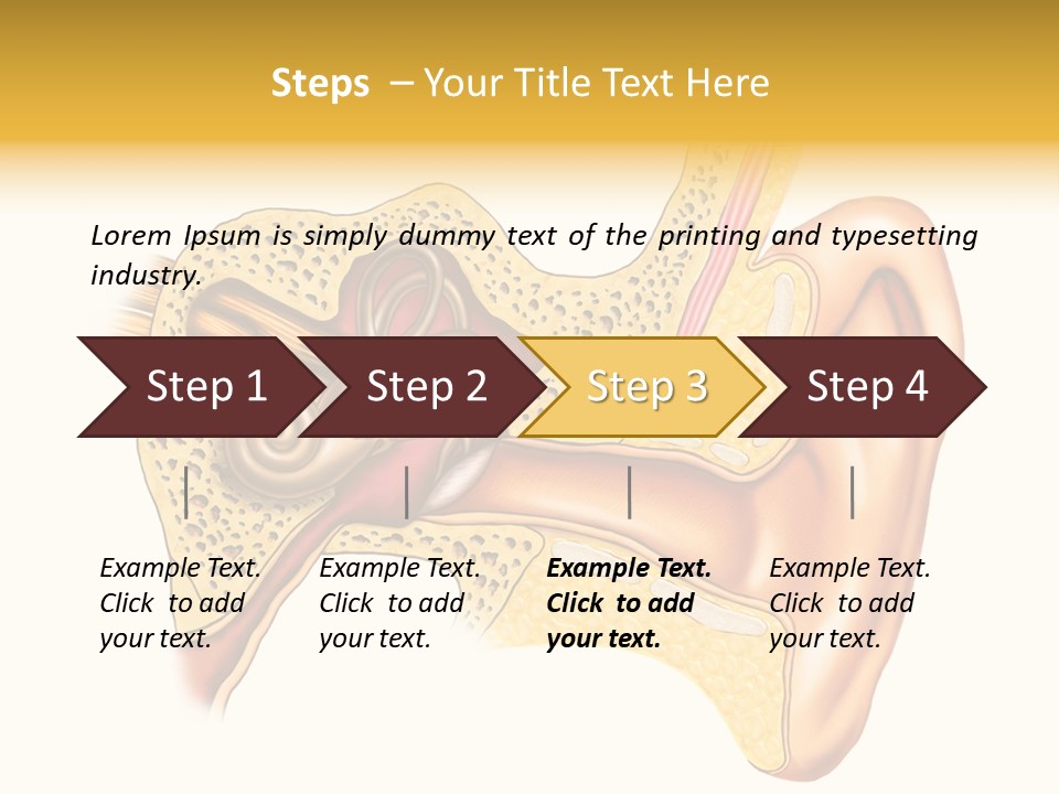 Eardrum Inner Sound PowerPoint Template