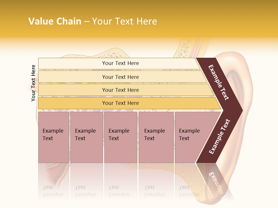 Eardrum Inner Sound PowerPoint Template