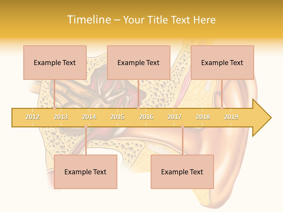 Eardrum Inner Sound PowerPoint Template