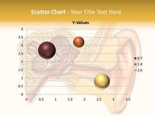 Eardrum Inner Sound PowerPoint Template