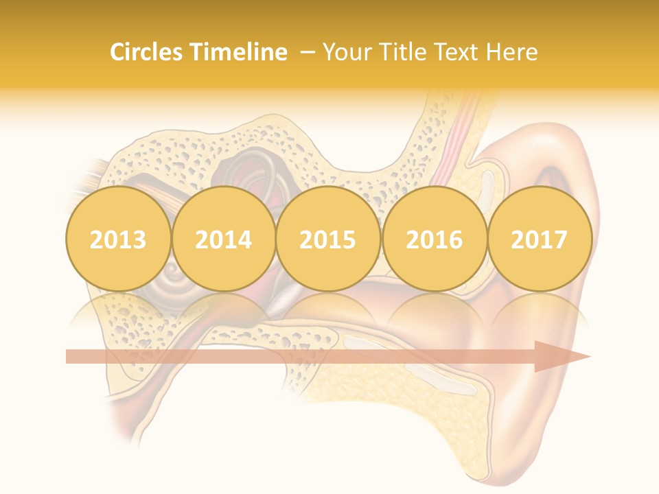 Eardrum Inner Sound PowerPoint Template