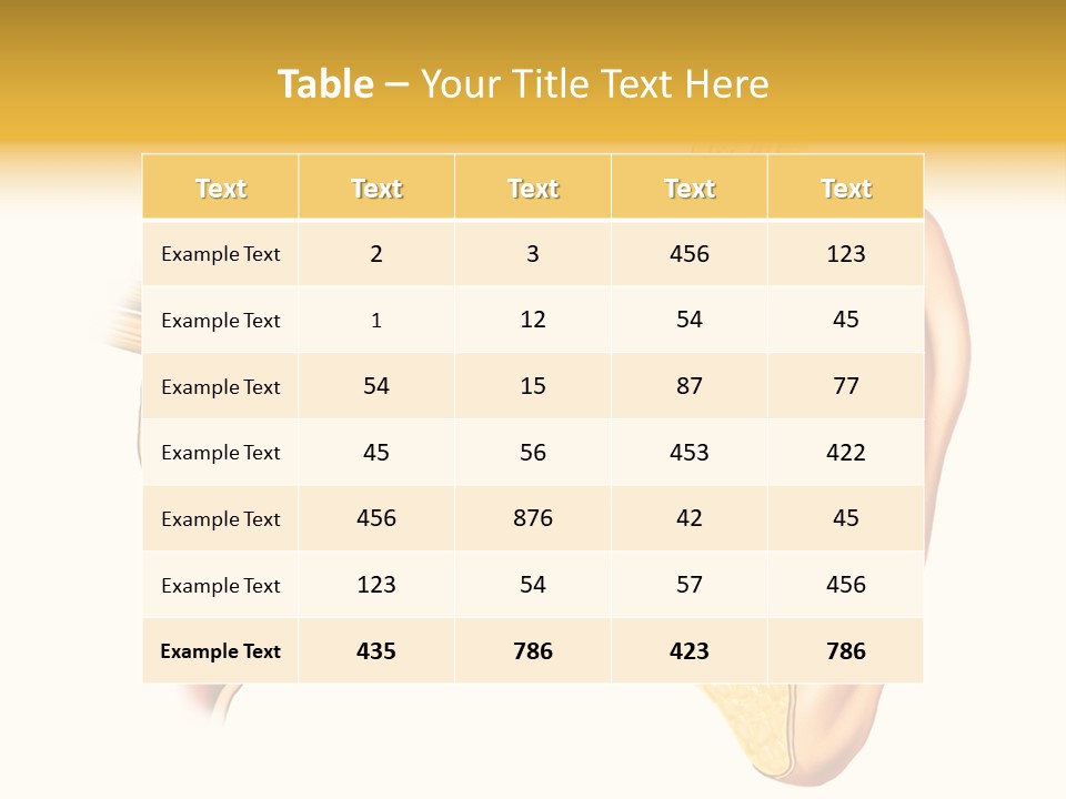 Eardrum Inner Sound PowerPoint Template
