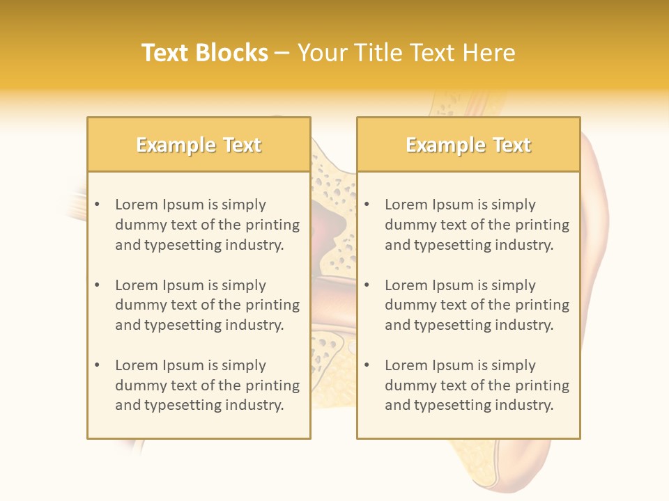 Eardrum Inner Sound PowerPoint Template