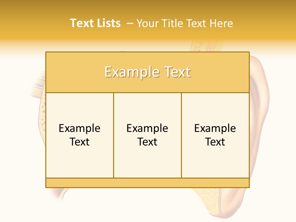 Eardrum Inner Sound PowerPoint Template