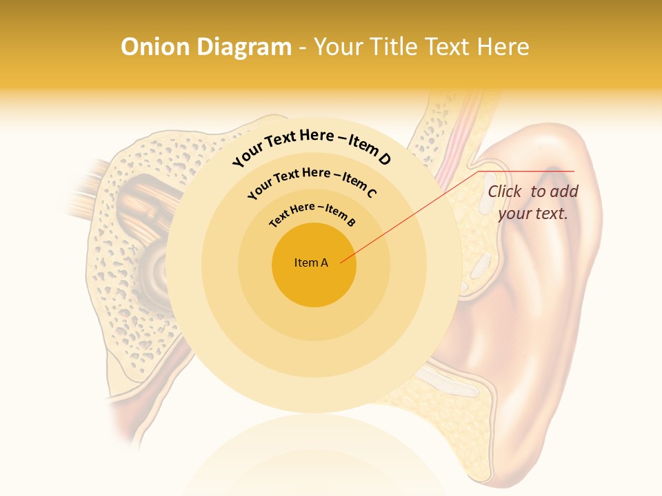Eardrum Inner Sound PowerPoint Template