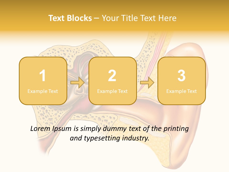 Eardrum Inner Sound PowerPoint Template