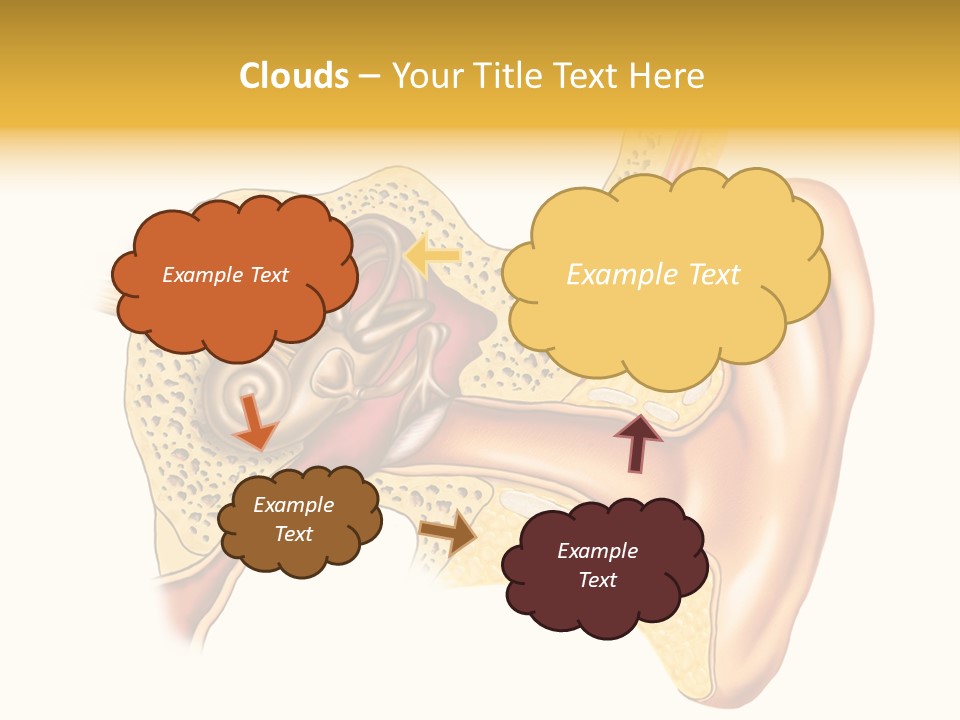 Eardrum Inner Sound PowerPoint Template