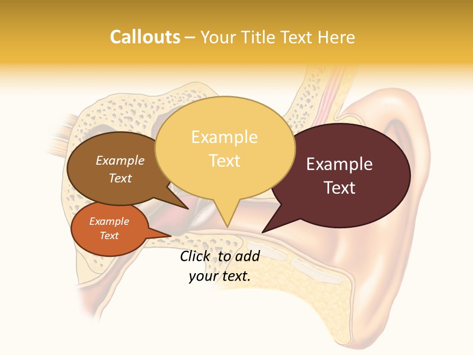Eardrum Inner Sound PowerPoint Template