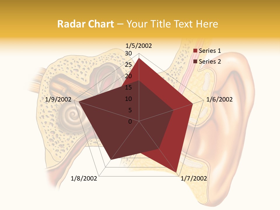 Eardrum Inner Sound PowerPoint Template