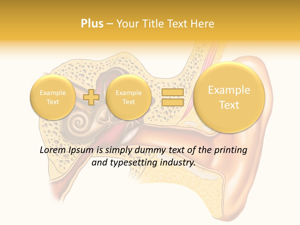 Eardrum Inner Sound PowerPoint Template