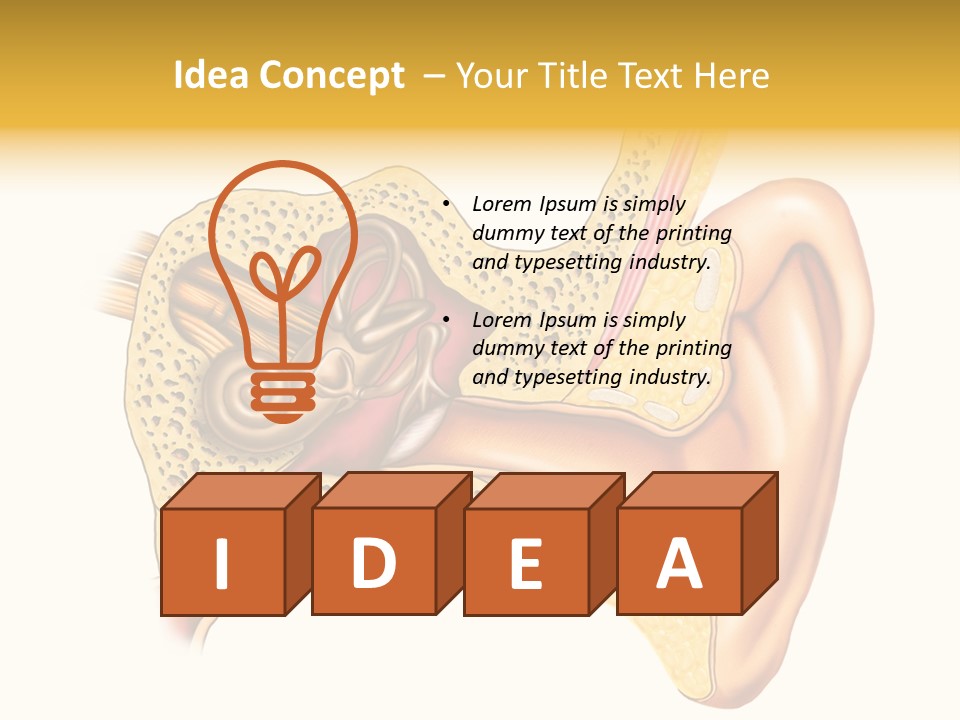 Eardrum Inner Sound PowerPoint Template