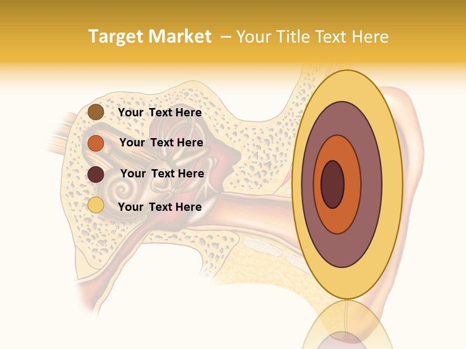 Eardrum Inner Sound PowerPoint Template