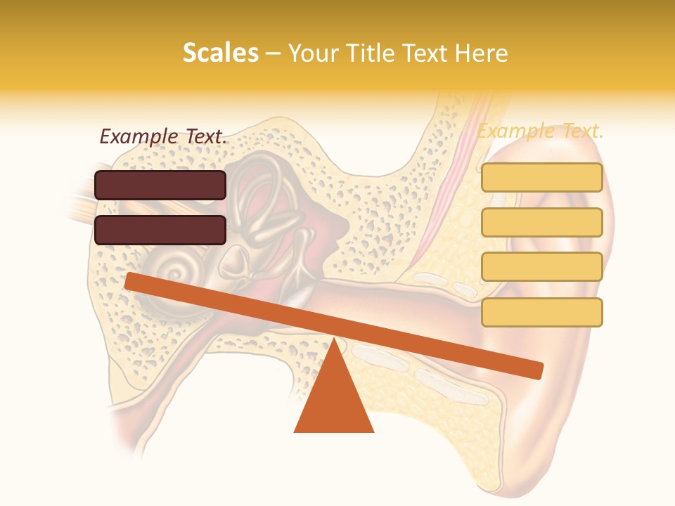 Eardrum Inner Sound PowerPoint Template
